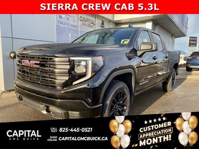  2024 GMC Sierra 1500 Crew Cab Pro