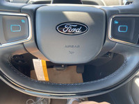 ENGINE: 3.5L V6 ECOBOOST (STD),ENGINE BLOCK HEATER,STEALTH APPEARANCE PACKAGE -inc: Black Roof Rail... (image 7)