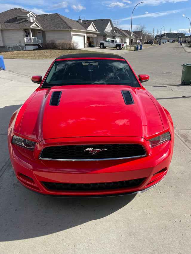 2013 Ford Mustang GT Premium in Cars & Trucks in Calgary - Image 3