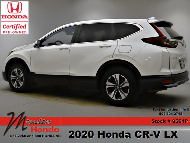  2020 Honda CR-V LX in Cars & Trucks in Moncton - Image 4
