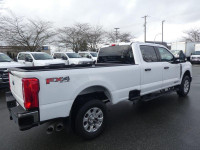 613A XLT Preferred Trim PackageAll Terrain TiresAll Weather MatsFX4 - Skid PlatesPlatform Running Bo... (image 6)