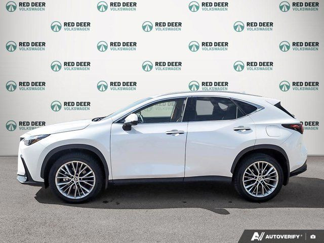 2022 Lexus NX NX 350 in Cars & Trucks in Red Deer - Image 3