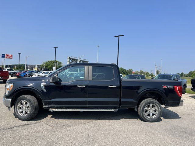 2021 Ford F-150 XLT in Cars & Trucks in Kitchener / Waterloo - Image 3