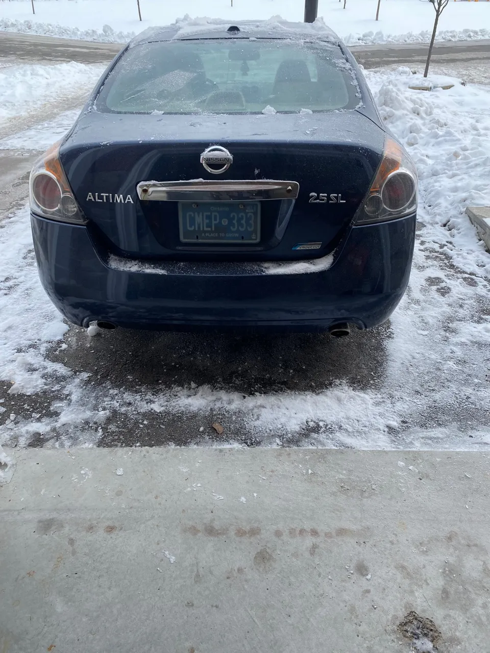 2010 Nissan Altima S