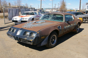 1979 Pontiac Firebird Trans Am