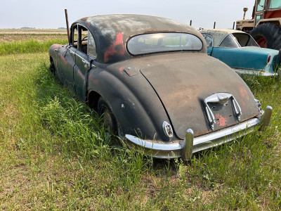 1955 Jaguar 