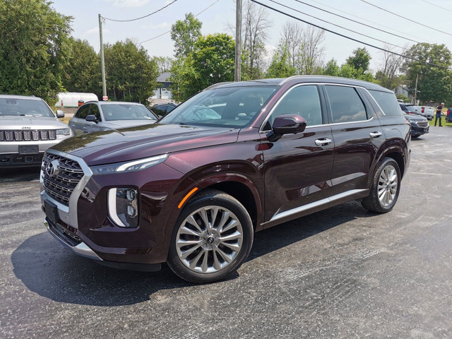 2020 Hyundai Palisade Ultimate AWD in Cars & Trucks in Belleville