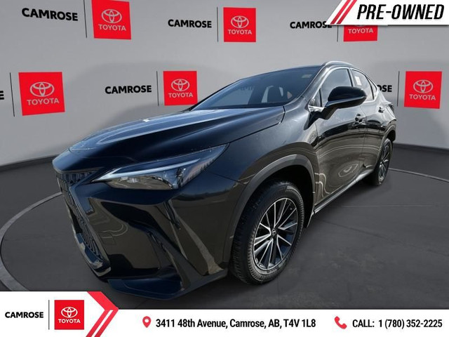 2024 Lexus NX 350 in Cars & Trucks in Edmonton
