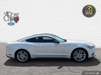 - PONY PACKAGE - HEATED & COOLED LEATHER SEATS - NAVIGATION - REVERSE SENSORS - BACK UP CAMERA KBB.c... (image 6)
