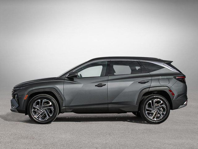 2025 Hyundai Tucson Hybrid Ultimate in Cars & Trucks in Fredericton - Image 3