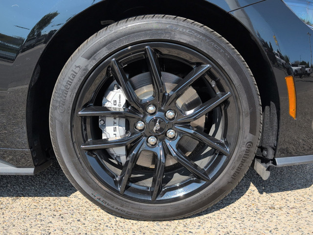 2024 Ford Mustang GT Premium Nite Pony RWD in Cars & Trucks in Lethbridge - Image 2