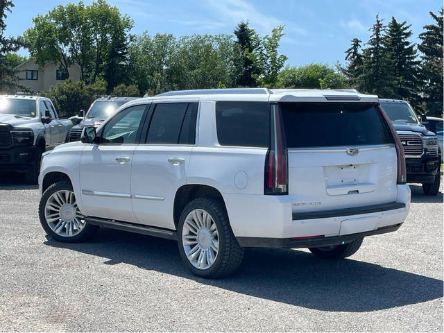 2016 Cadillac Escalade Platinum Edition in Cars & Trucks in Calgary - Image 3