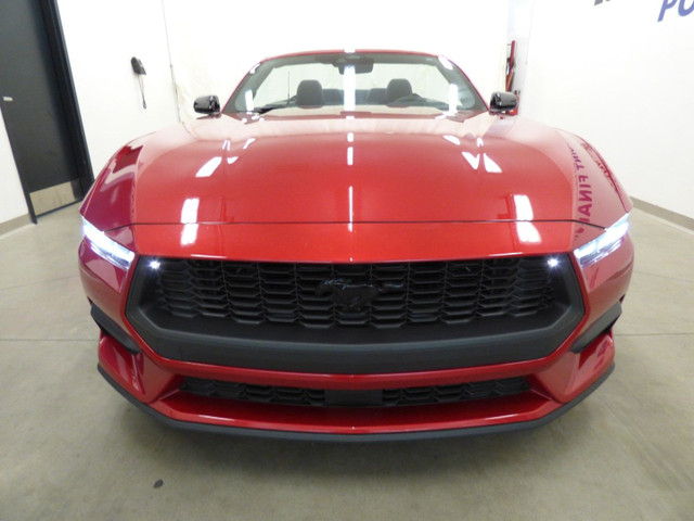 2024 FORD MUSTANG ECOBOOST CONVERTIBLE, AUTO, CARPLAY, FULL!!! in Cars & Trucks in City of Montréal - Image 3
