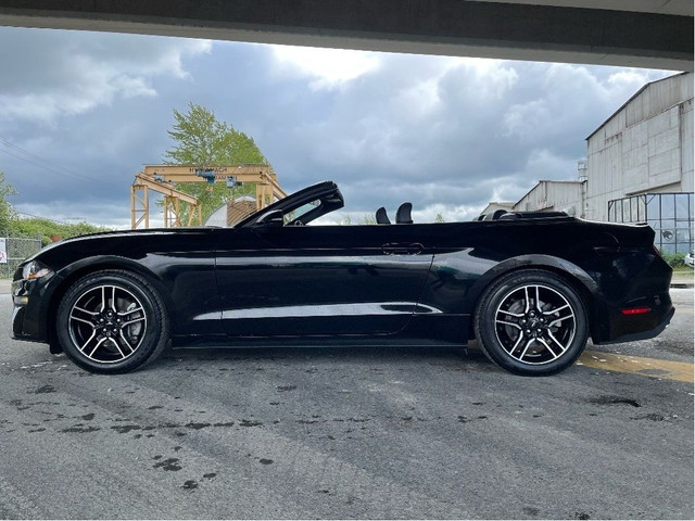 2023 Ford Mustang CONVERTIBLE EcoBoost Premium HEAT/COOL LEATHER in Cars & Trucks in Delta/Surrey/Langley - Image 4