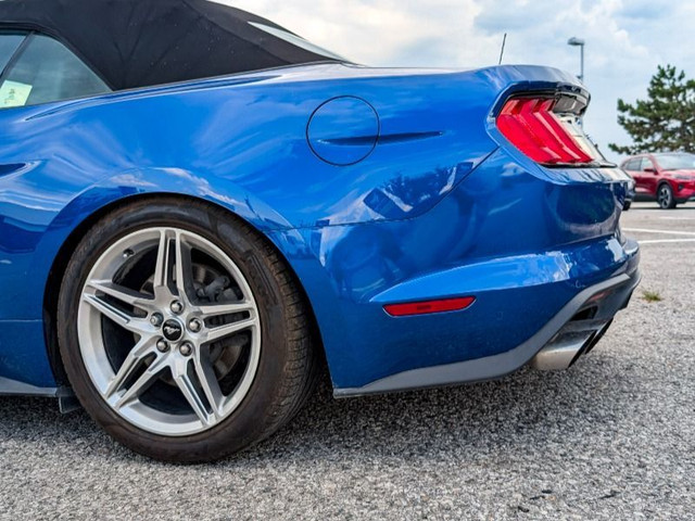2018 Ford Mustang GT Premium Perfect Summer 'Stang! in Cars & Trucks in Kawartha Lakes - Image 4