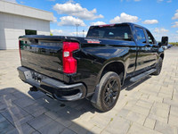 2022 Chevrolet Silverado 1500 LT Trail Boss Crew Cab 4x4 with the 6.2L V8 and Z71 Off-Road Package.... (image 4)