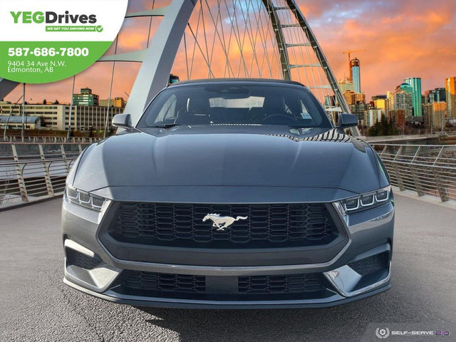 2024 Ford Mustang EcoBoost Premium in Cars & Trucks in Edmonton - Image 2
