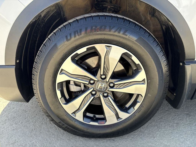 2022 Honda CR-V LX in Cars & Trucks in Edmonton - Image 3