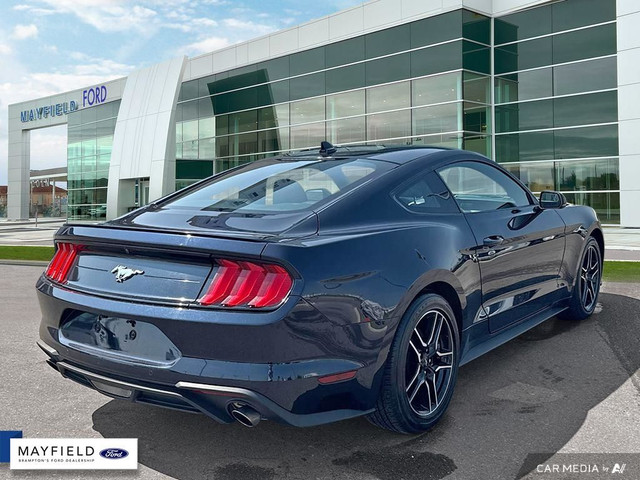2021 Ford Mustang in Cars & Trucks in Mississauga / Peel Region - Image 4