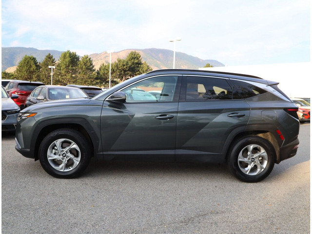 2024 Hyundai Tucson Trend AWD - One Owner / BC Vehicle / Panoram in Cars & Trucks in Penticton - Image 2