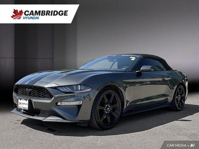 2019 Ford Mustang Convertible | Automatic | Turbocharged | in Cars & Trucks in Cambridge