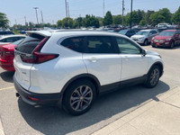 Come visit our London Honda team, you can find us at 560 Wharncliffe Rd S, London, ON, N6J 2N4, or c... (image 3)