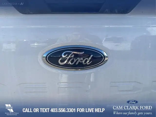 2025 Ford F-350 XLT in Cars & Trucks in Red Deer - Image 11
