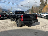 360-Degree Camera, Skid Plates, Moonroof Power-Twin Panel, Upfitter Switches, Tailgate Step, All Wea... (image 2)