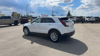 Cadillac XT4 null ~An AMVIC licensed dealer~ Engine: 4 Cylinder Engine 2.0L L/100Km City: 10.9 L/100... (image 3)