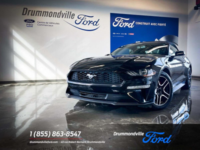 FORD - MUSTANG - 2019 - CONVERTIBLE/CABRIOLET - ECOBOOST/2.3L - 