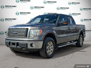 2010 Ford F 150 XLT 4WD SuperCrew