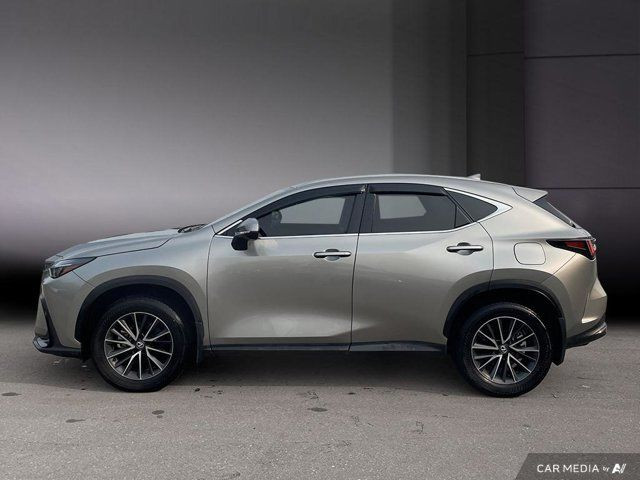 2024 Lexus NX 350h | AWD | Hybrid in Cars & Trucks in Cambridge - Image 3