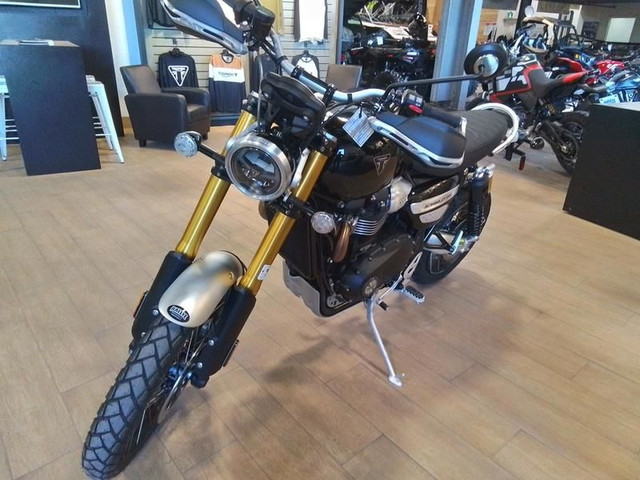 2024 Triumph SCRAMBLER 1200 XE in Street, Cruisers & Choppers in Moncton - Image 2