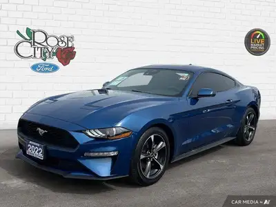 - ACCIDENT FREE - CLOTH SEATS - DUAL ZONE TEMP CONTROL - FORDPASS CONNECT - BLIND SPOT MONITOR - LAN...
