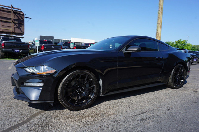 2019 Ford Mustang in Cars & Trucks in Oakville / Halton Region - Image 3