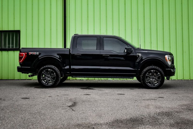 2023 Ford F-150 XLT - Aluminum Wheels - SYNC in Cars & Trucks in Kingston - Image 2
