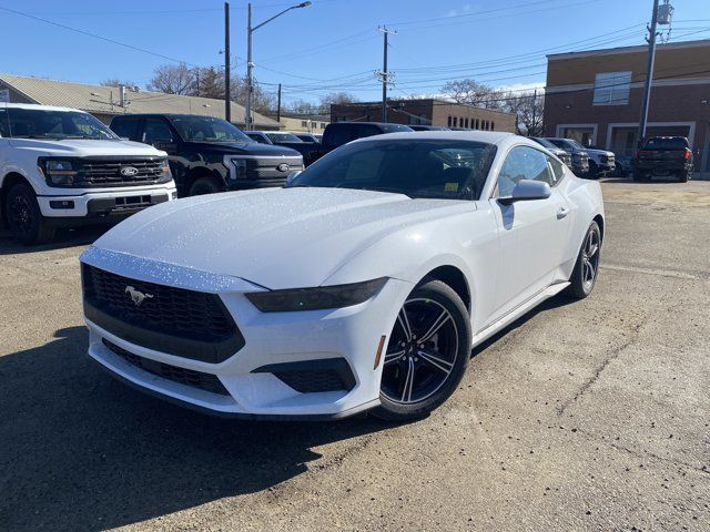 2025 Ford Mustang EcoBoost in Cars & Trucks in Edmonton - Image 2