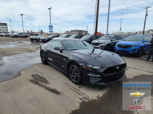 2022 Ford Mustang GT GT Premium | Blackstripe