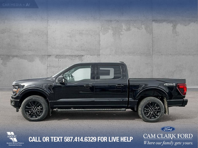 2025 Ford F-150 XLT in Cars & Trucks in Calgary - Image 4