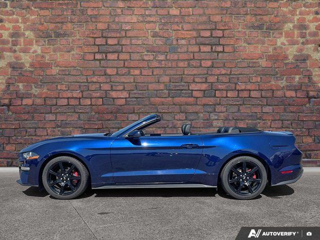 2019 Ford Mustang in Cars & Trucks in Dartmouth - Image 2