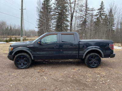 2011 Ford F 150 FX4