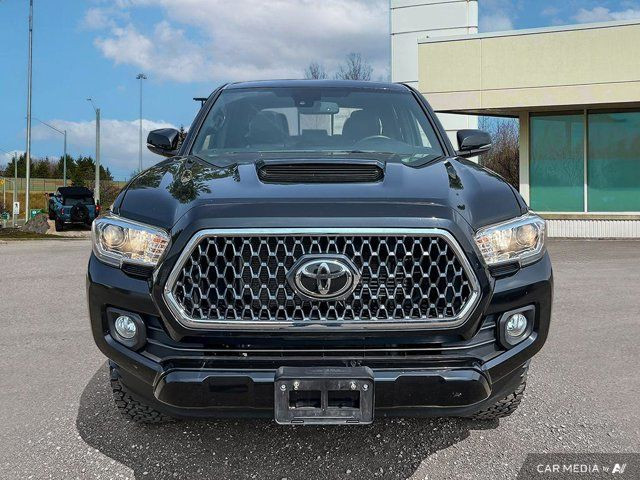 2019 Toyota Tacoma SR5 |LEATHER SEATS| LONG BED| SPORT PKG in Cars & Trucks in Kitchener / Waterloo - Image 3