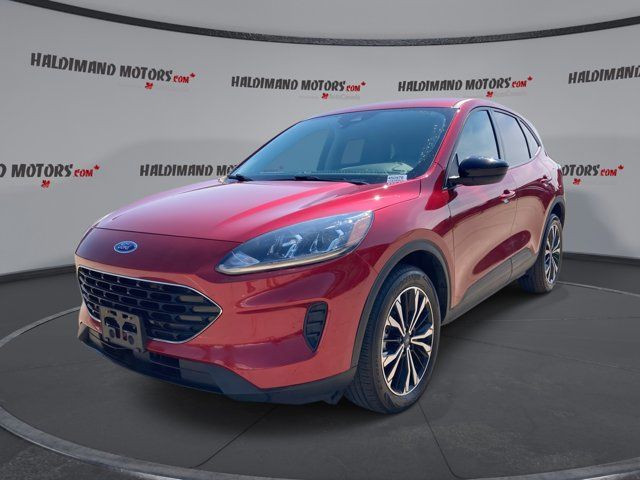 2022 Ford Escape SE Hybrid in Cars & Trucks in Hamilton