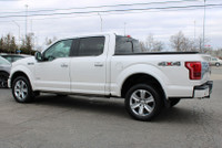 LOCAL ONTARIO VECHILE 3.5L ECOBOOST Strong, reliable, and built to perform. This 2016 F-150 PLATINUM... (image 4)