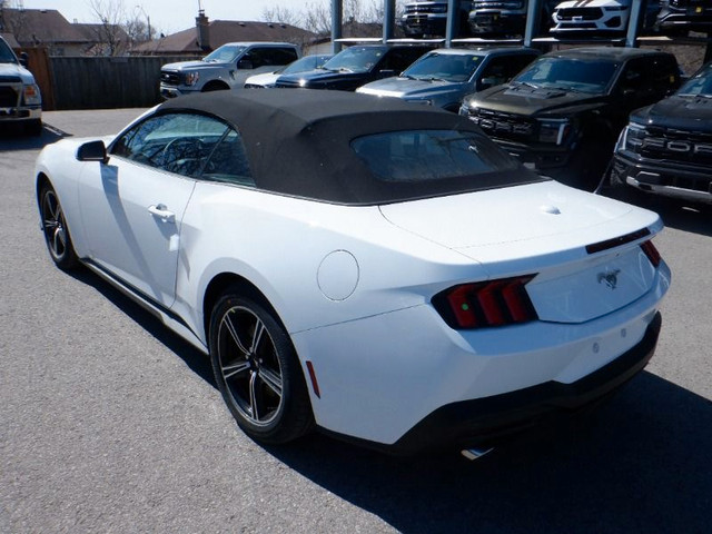  2024 Ford Mustang EcoBoost Convertible in Cars & Trucks in Oshawa / Durham Region - Image 3