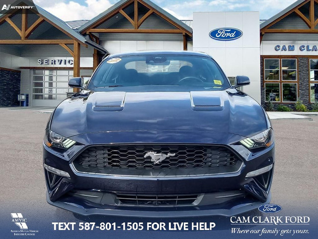 2021 Ford Mustang EcoBoost in Cars & Trucks in Banff / Canmore - Image 2