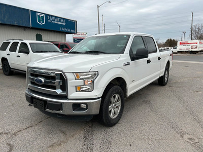 2016 Ford F-150 Low KM, No Accidents