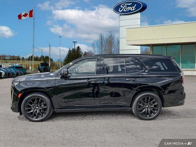 2023 Cadillac Escalade 4WD Sport in Cars & Trucks in Kitchener / Waterloo - Image 4