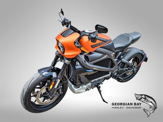2020 Harley-Davidson ELW - LiveWire in Sport Bikes in Owen Sound - Image 4