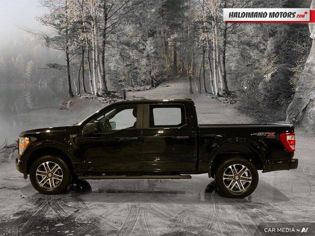 2021 Ford F-150 XL in Cars & Trucks in Hamilton - Image 2